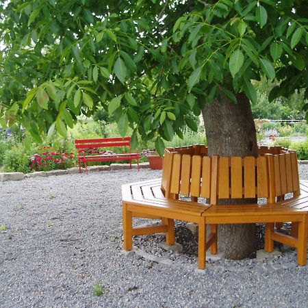 فندق Weinhof Am Nussbaum Willanzheim المظهر الخارجي الصورة