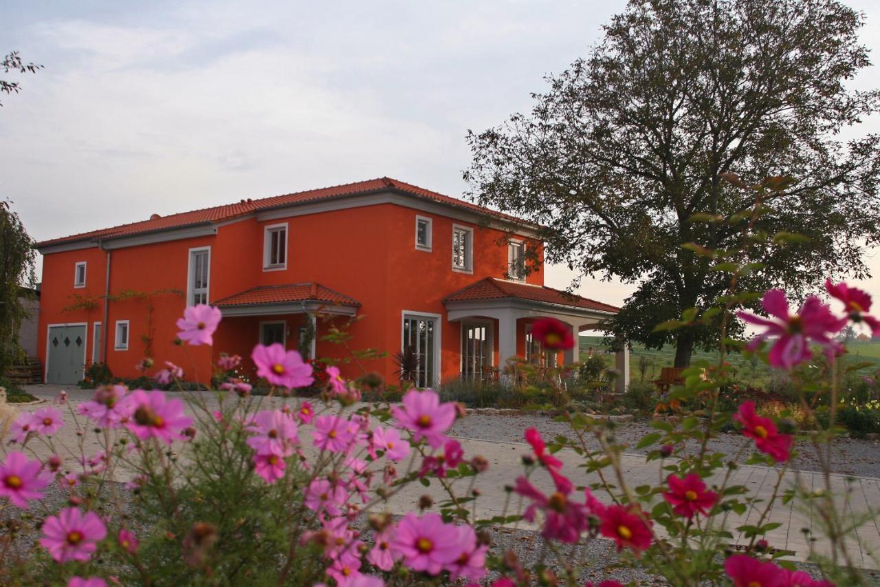 فندق Weinhof Am Nussbaum Willanzheim المظهر الخارجي الصورة