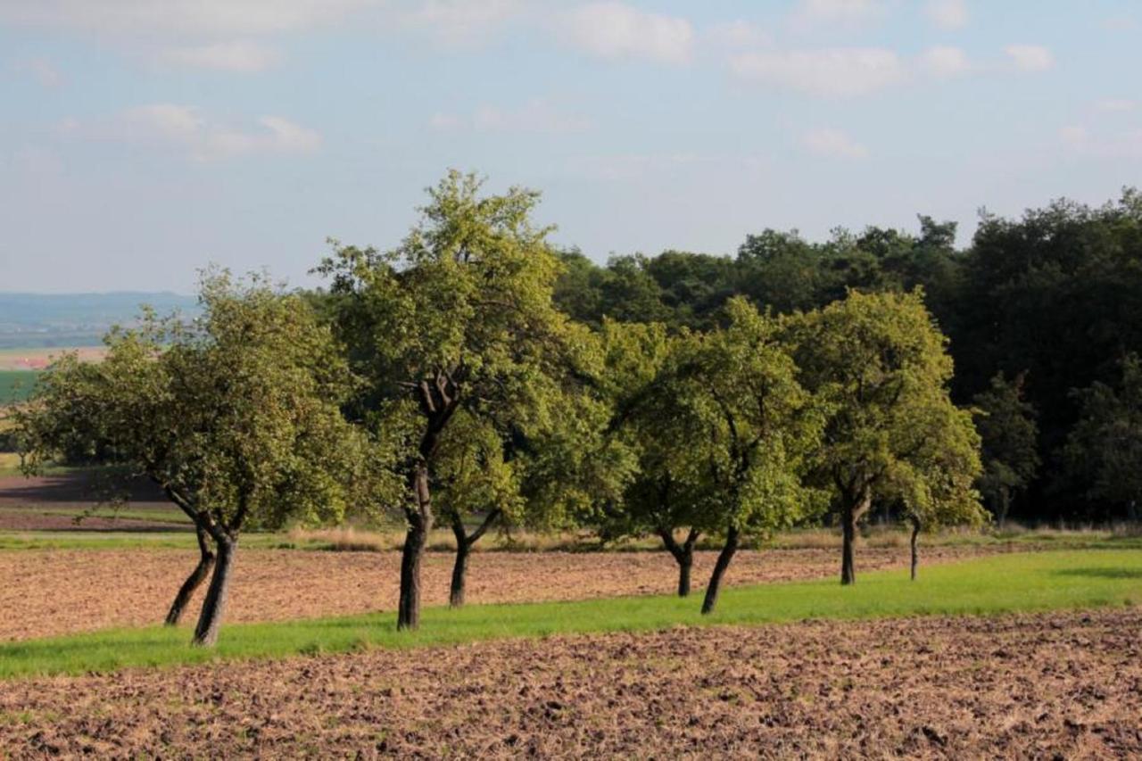 فندق Weinhof Am Nussbaum Willanzheim المظهر الخارجي الصورة